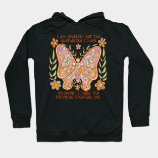 Retro butterfly with abundance quote Hoodie